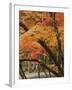 Autumn in Koya-san-Christophe Boisvieux-Framed Photographic Print