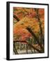 Autumn in Koya-san-Christophe Boisvieux-Framed Photographic Print