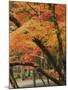 Autumn in Koya-san-Christophe Boisvieux-Mounted Photographic Print