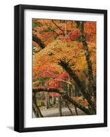 Autumn in Koya-san-Christophe Boisvieux-Framed Photographic Print