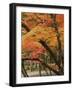 Autumn in Koya-san-Christophe Boisvieux-Framed Photographic Print