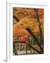 Autumn in Koya-san-Christophe Boisvieux-Framed Photographic Print