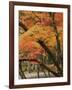 Autumn in Koya-san-Christophe Boisvieux-Framed Photographic Print