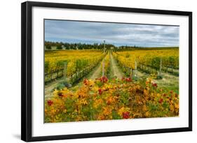 Autumn in Leonetti Vineyard, Walla Walla, Washington, USA-Richard Duval-Framed Photographic Print