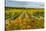 Autumn in Leonetti Vineyard, Walla Walla, Washington, USA-Richard Duval-Stretched Canvas