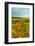 Autumn in Leonetti Vineyard, Walla Walla, Washington, USA-Richard Duval-Framed Photographic Print