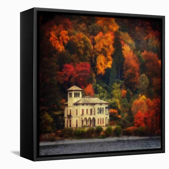 Autumn in My Garden-Philippe Sainte-Laudy-Framed Stretched Canvas