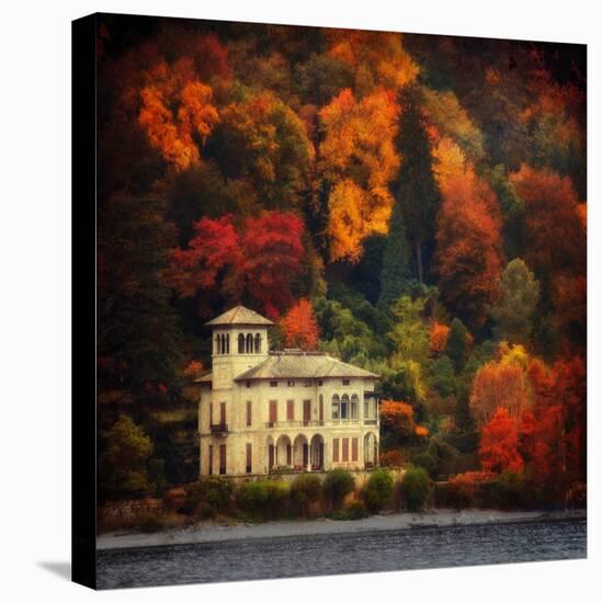 Autumn in My Garden-Philippe Sainte-Laudy-Stretched Canvas