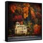 Autumn in My Garden-Philippe Sainte-Laudy-Framed Stretched Canvas