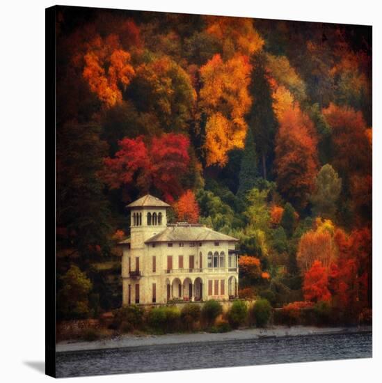 Autumn in My Garden-Philippe Sainte-Laudy-Stretched Canvas