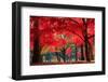 Autumn in Nami Island-Suthee Treewatanawong-Framed Photographic Print