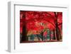 Autumn in Nami Island-Suthee Treewatanawong-Framed Photographic Print