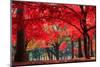 Autumn in Nami Island-Suthee Treewatanawong-Mounted Photographic Print