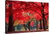 Autumn in Nami Island-Suthee Treewatanawong-Stretched Canvas