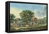 Autumn in New England - Cider Making, 1866-Currier & Ives-Framed Stretched Canvas
