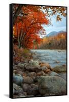 Autumn in New Hampshire, Riverside, Conway, Lincoln, Kancamagus-Vincent James-Framed Stretched Canvas