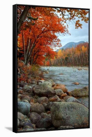 Autumn in New Hampshire, Riverside, Conway, Lincoln, Kancamagus-Vincent James-Framed Stretched Canvas