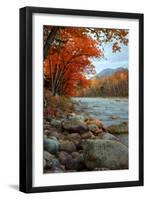 Autumn in New Hampshire, Riverside, Conway, Lincoln, Kancamagus-Vincent James-Framed Photographic Print