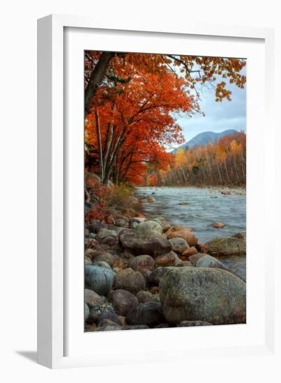 Autumn in New Hampshire, Riverside, Conway, Lincoln, Kancamagus-Vincent James-Framed Photographic Print