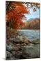 Autumn in New Hampshire, Riverside, Conway, Lincoln, Kancamagus-Vincent James-Mounted Photographic Print