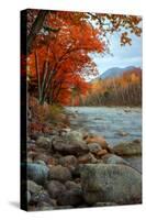 Autumn in New Hampshire, Riverside, Conway, Lincoln, Kancamagus-Vincent James-Stretched Canvas