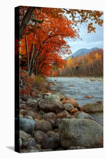 Autumn in New Hampshire, Riverside, Conway, Lincoln, Kancamagus-Vincent James-Stretched Canvas