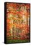Autumn in New Haven-Philippe Sainte-Laudy-Framed Stretched Canvas