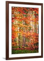 Autumn in New Haven-Philippe Sainte-Laudy-Framed Photographic Print