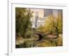 Autumn in New York-Jessica Jenney-Framed Giclee Print