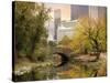 Autumn in New York-Jessica Jenney-Stretched Canvas