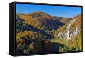 Autumn in Ojcow National Park.-Geo-grafika-Framed Stretched Canvas