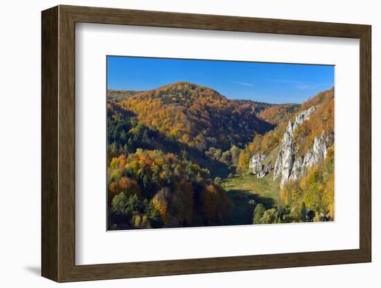 Autumn in Ojcow National Park.-Geo-grafika-Framed Photographic Print