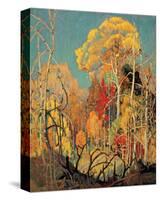 Autumn in Orillia-Franklin Carmichael-Stretched Canvas