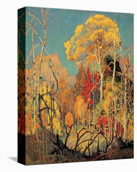 Autumn in Orillia-Franklin Carmichael-Stretched Canvas