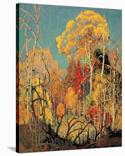 Autumn in Orillia-Franklin Carmichael-Stretched Canvas