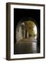 Autumn in Paris-Moises Levy-Framed Premium Giclee Print