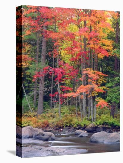 Autumn in the Adirondack Mountains, New York, Usa-Christopher Talbot Frank-Stretched Canvas