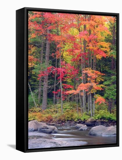 Autumn in the Adirondack Mountains, New York, Usa-Christopher Talbot Frank-Framed Stretched Canvas