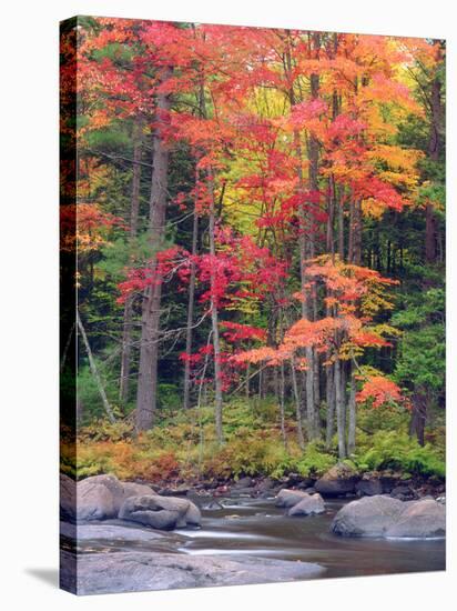 Autumn in the Adirondack Mountains, New York, Usa-Christopher Talbot Frank-Stretched Canvas