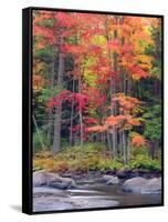 Autumn in the Adirondack Mountains, New York, Usa-Christopher Talbot Frank-Framed Stretched Canvas