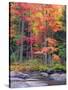 Autumn in the Adirondack Mountains, New York, Usa-Christopher Talbot Frank-Stretched Canvas