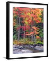 Autumn in the Adirondack Mountains, New York, Usa-Christopher Talbot Frank-Framed Premium Photographic Print