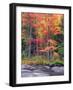 Autumn in the Adirondack Mountains, New York, Usa-Christopher Talbot Frank-Framed Photographic Print