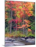 Autumn in the Adirondack Mountains, New York, Usa-Christopher Talbot Frank-Mounted Photographic Print