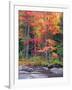 Autumn in the Adirondack Mountains, New York, Usa-Christopher Talbot Frank-Framed Photographic Print