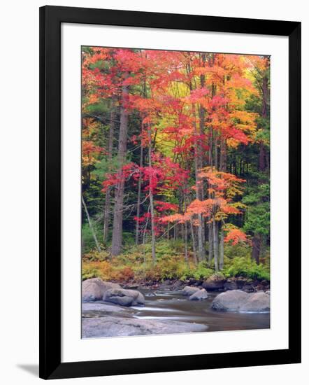 Autumn in the Adirondack Mountains, New York, Usa-Christopher Talbot Frank-Framed Photographic Print