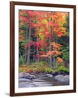 Autumn in the Adirondack Mountains, New York, Usa-Christopher Talbot Frank-Framed Photographic Print