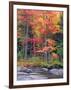 Autumn in the Adirondack Mountains, New York, Usa-Christopher Talbot Frank-Framed Photographic Print