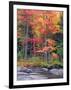 Autumn in the Adirondack Mountains, New York, Usa-Christopher Talbot Frank-Framed Photographic Print