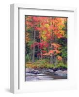 Autumn in the Adirondack Mountains, New York, Usa-Christopher Talbot Frank-Framed Photographic Print